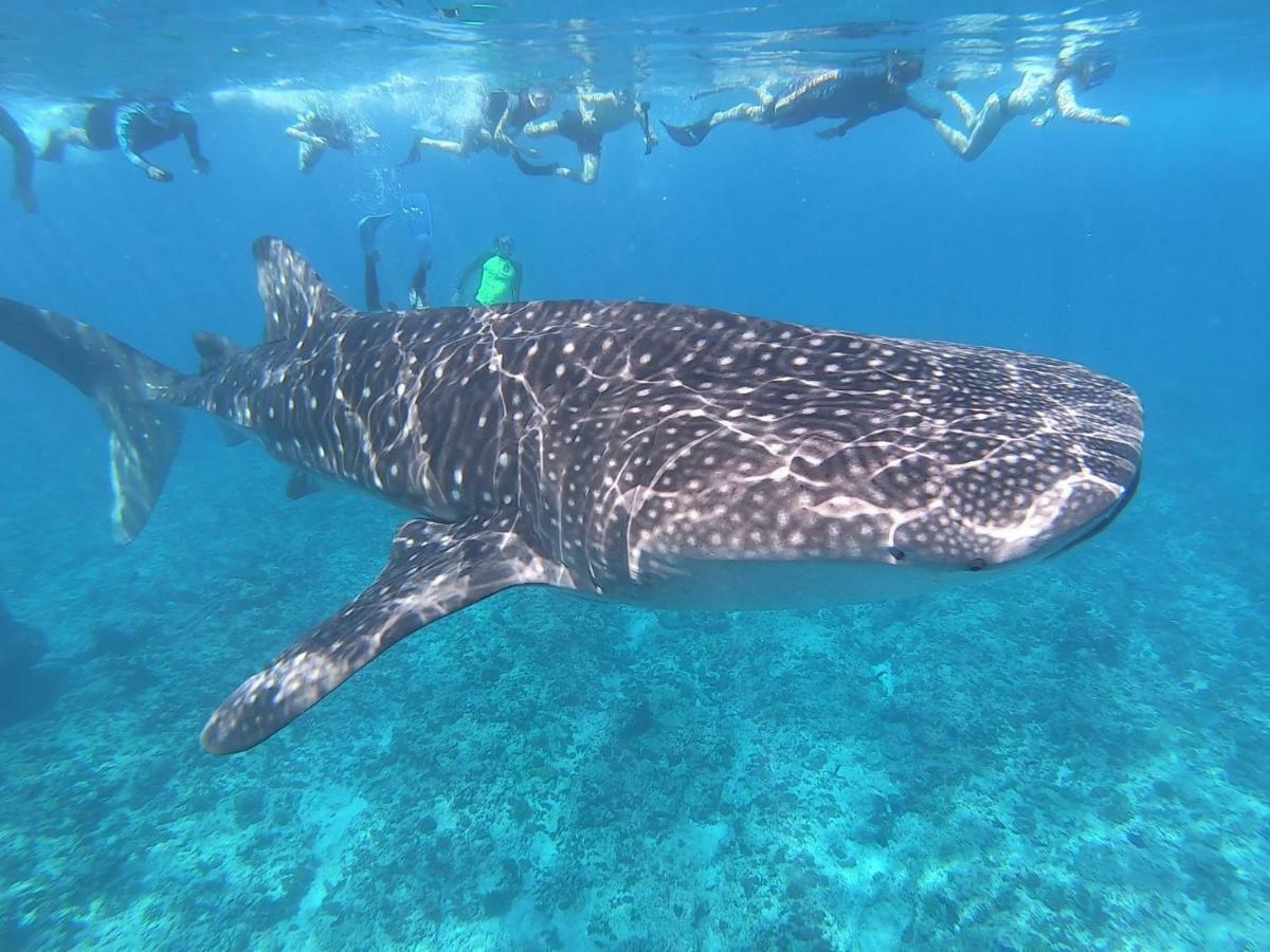 Lagoon View Maldives Bodufolhudhoo Екстериор снимка